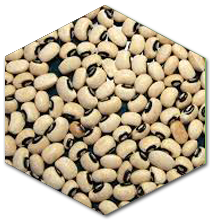 prod_blackeyed_beans