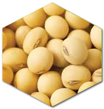 prod_soybeans