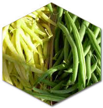 prod_yellowgreen_beans